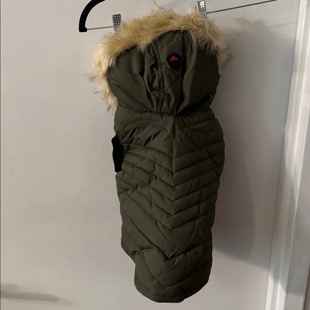 Pajar Pup Toby Hooded Parka